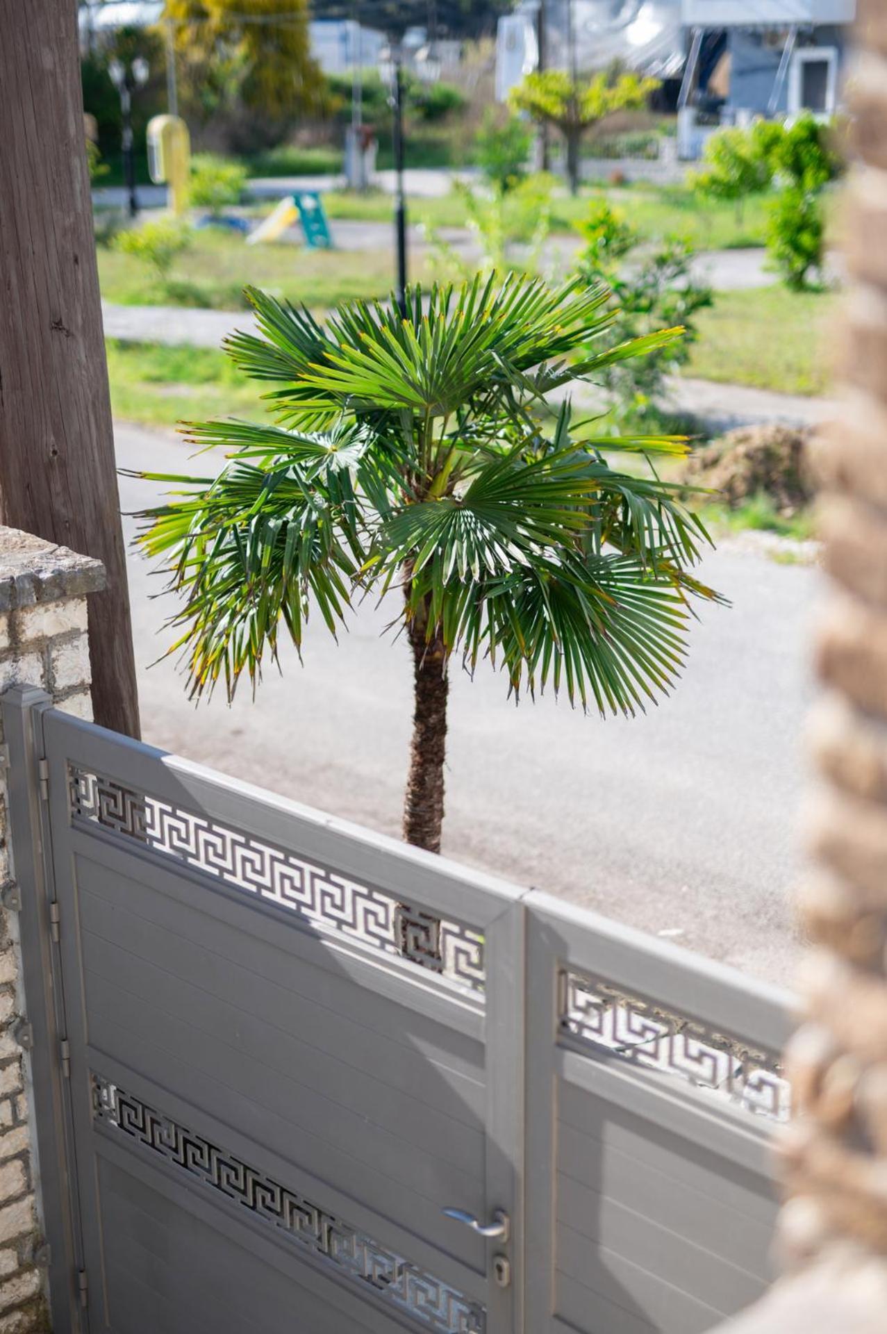 Andreas Aparthotel Ammoudia Exterior photo